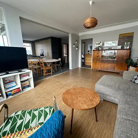 Apartment In Laugarnesvegi, - Birta Reykjavík